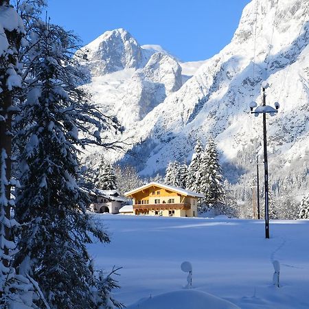 Apartments Alpenfrieden Sankt Martin am Tennengebirge Exteriér fotografie