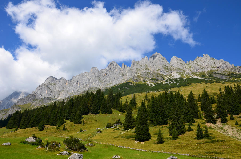 Apartments Alpenfrieden Sankt Martin am Tennengebirge Exteriér fotografie