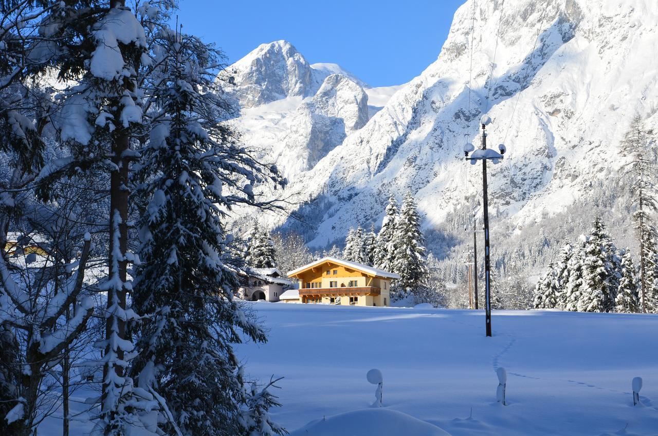 Apartments Alpenfrieden Sankt Martin am Tennengebirge Exteriér fotografie